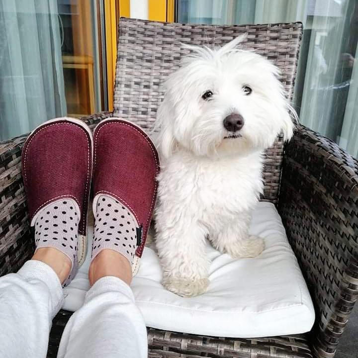 Burgundy Rose Black Edition